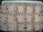 FROZEN WHOLE CLEANED BABY OCTOPUS