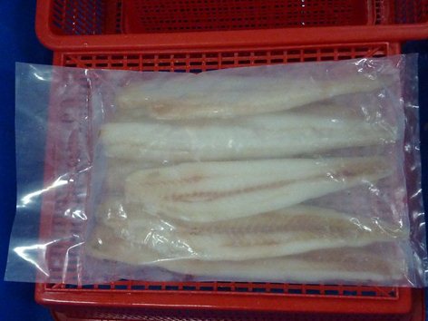 Fillet-1-(4).jpg