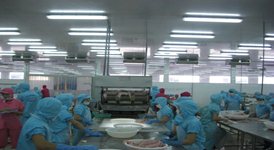 KIỂM HÀNG THUỶ HẢI SẢN