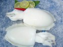 795646195_products_345.jpg