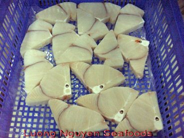 Blue-shark-steak-skinless_bone-in.jpg